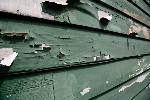 Best Property Management Cleanouts  in Olive Branch, MS