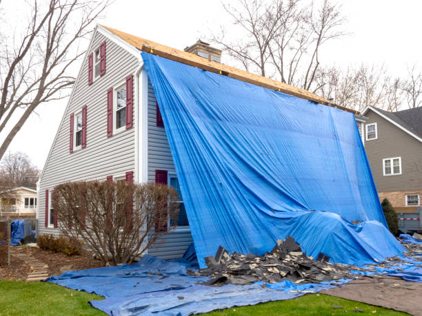 Best Construction Debris Removal  in Olive Branch, MS